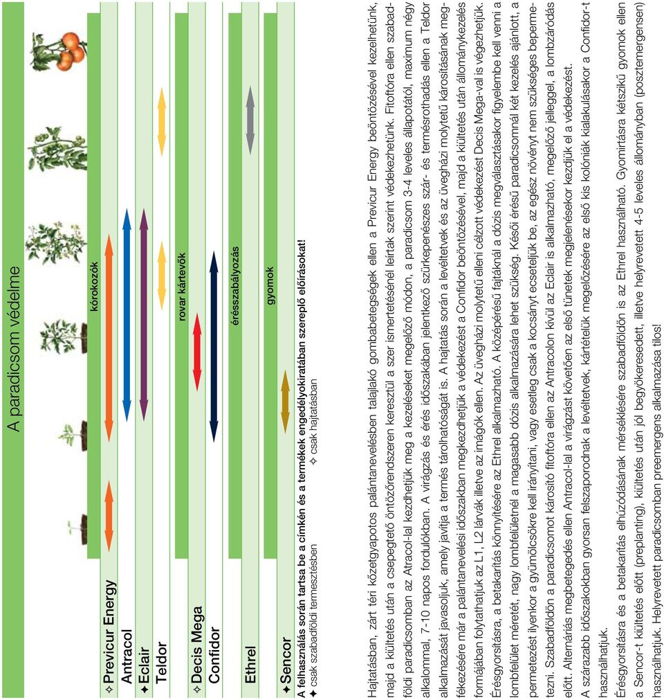 F csak szabadföldi termesztésben G csak hajtatásban Hajtatásban, zárt téri kôzetgyapotos palántanevelésben talajlakó gombabetegségek ellen a Previcur Energy beöntözésével kezelhetünk, majd a