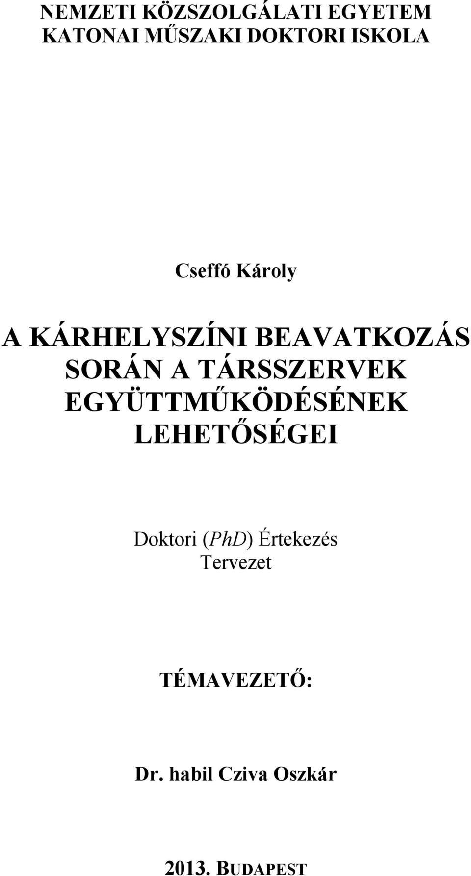 TÁRSSZERVEK EGYÜTTMŰKÖDÉSÉNEK LEHETŐSÉGEI Doktori (PhD)