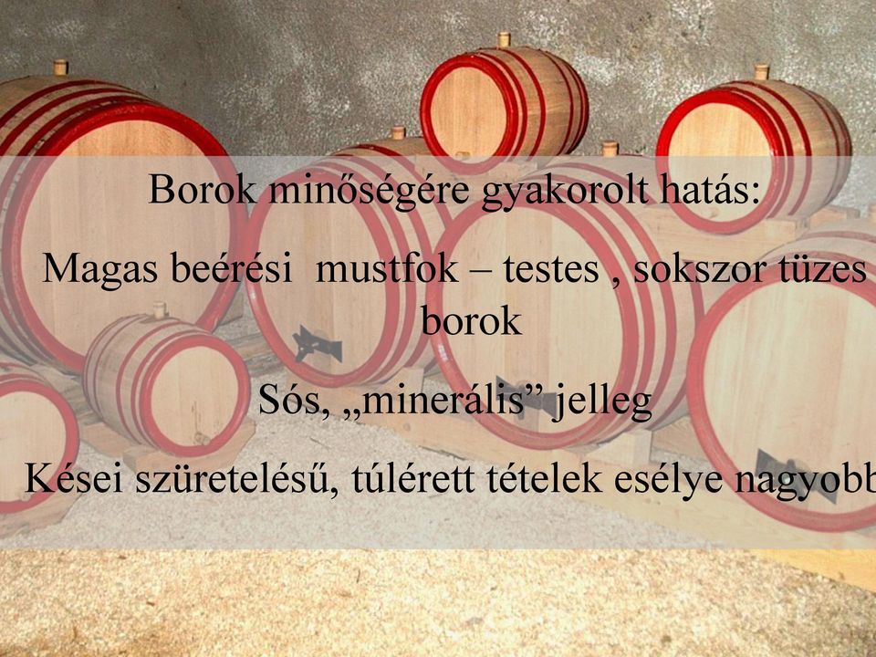 tüzes borok Sós, minerális jelleg