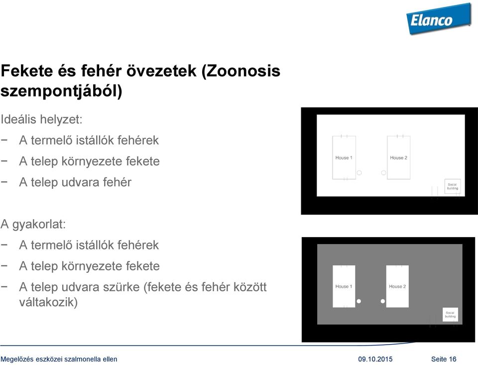 fehér A gyakorlat: A  szürke (fekete és fehér között váltakozik) 09.10.