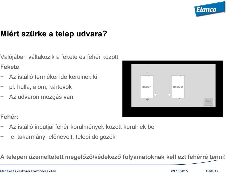 hulla, alom, kártevők Az udvaron mozgás van Fehér: Az istálló inputjai fehér körülmények