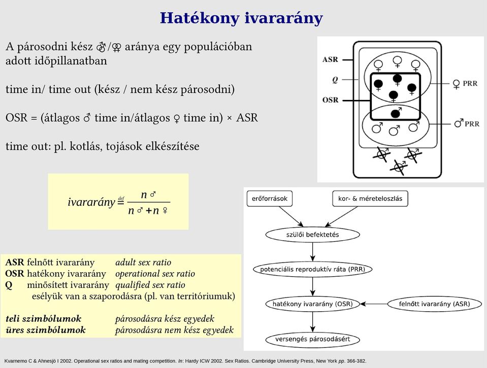 kotlás, tojások elkészítése ivararány n n +n ASR felnőtt ivararány adult sex ratio OSR hatékony ivararány operational sex ratio Q minősített ivararány qualified