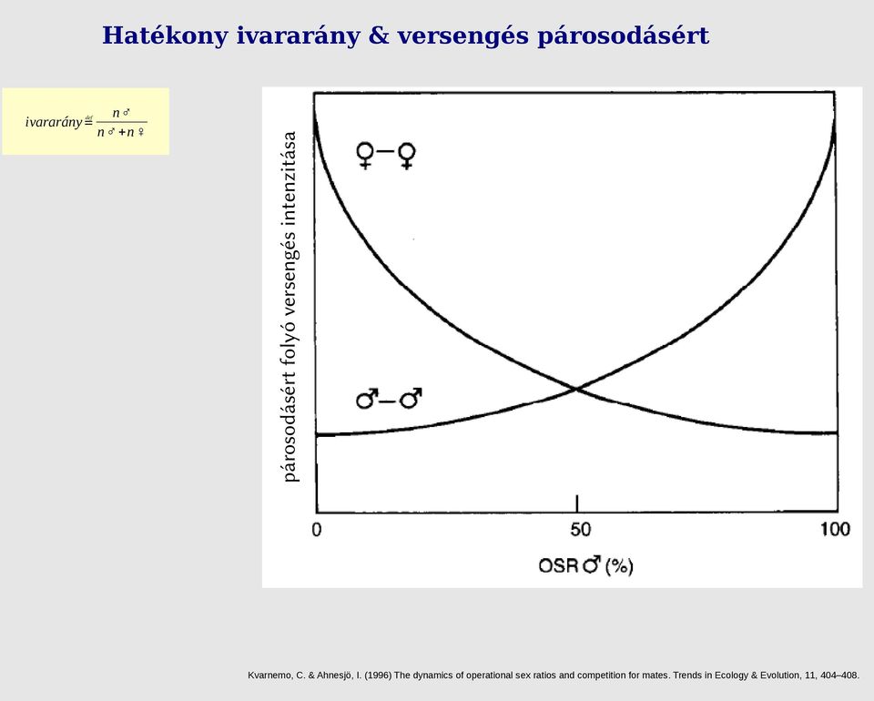 & Ahnesjö, I.