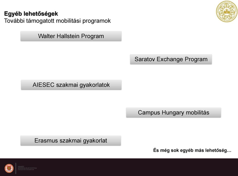 Program AIESEC szakmai gyakorlatok Campus Hungary