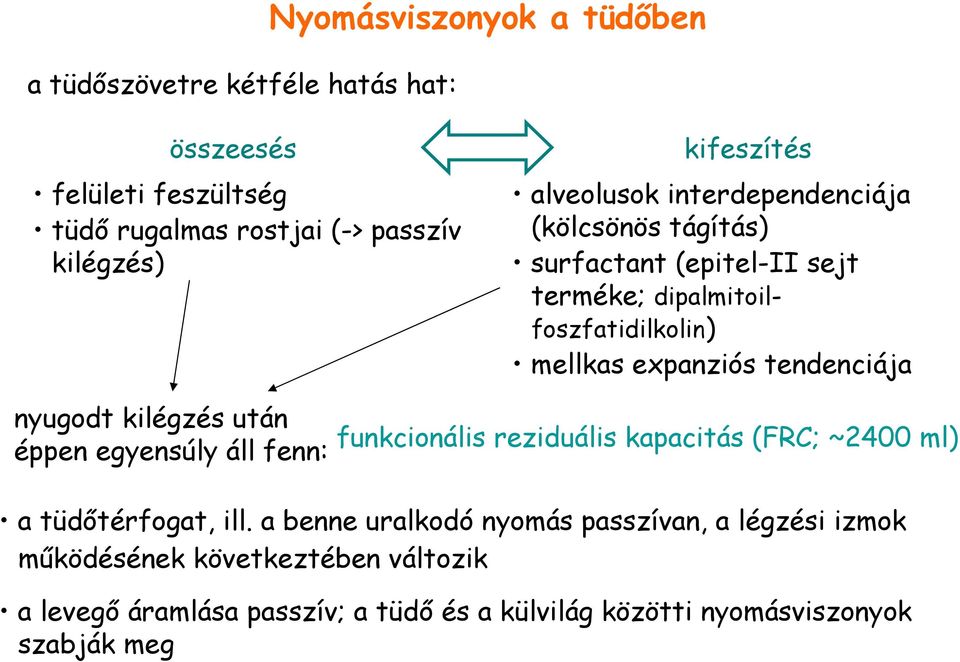 nyugodt kilégzés után éppen egyensúly áll fenn: funkcionális reziduális kapacitás (FRC; ~2400 ml) a tüdıtérfogat, ill.