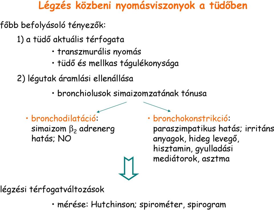 bronchodilatáció: simaizom β 2 adrenerg hatás; NO bronchokonstrikció: paraszimpatikus hatás; irritáns anyagok,