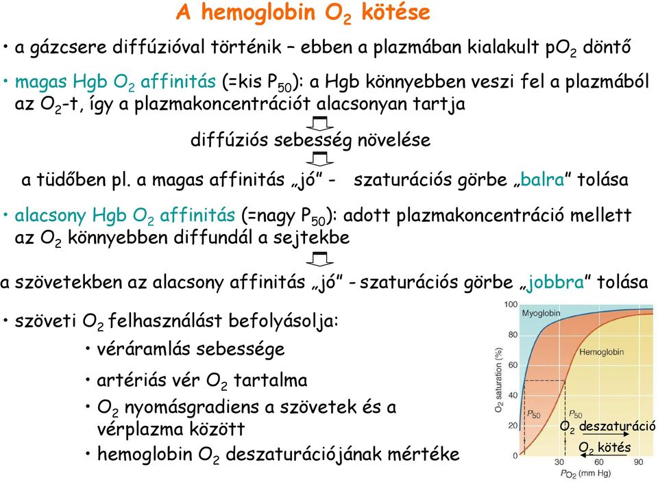 a magas affinitás jó - szaturációs görbe balra tolása alacsony Hgb O 2 affinitás (=nagy P 50 ): adott plazmakoncentráció mellett az O 2 könnyebben diffundál a sejtekbe a