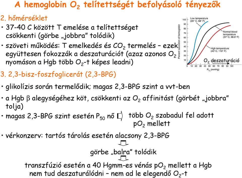 azonos O 2 nyomáson a Hgb több O 2 -t képes leadni) 3.