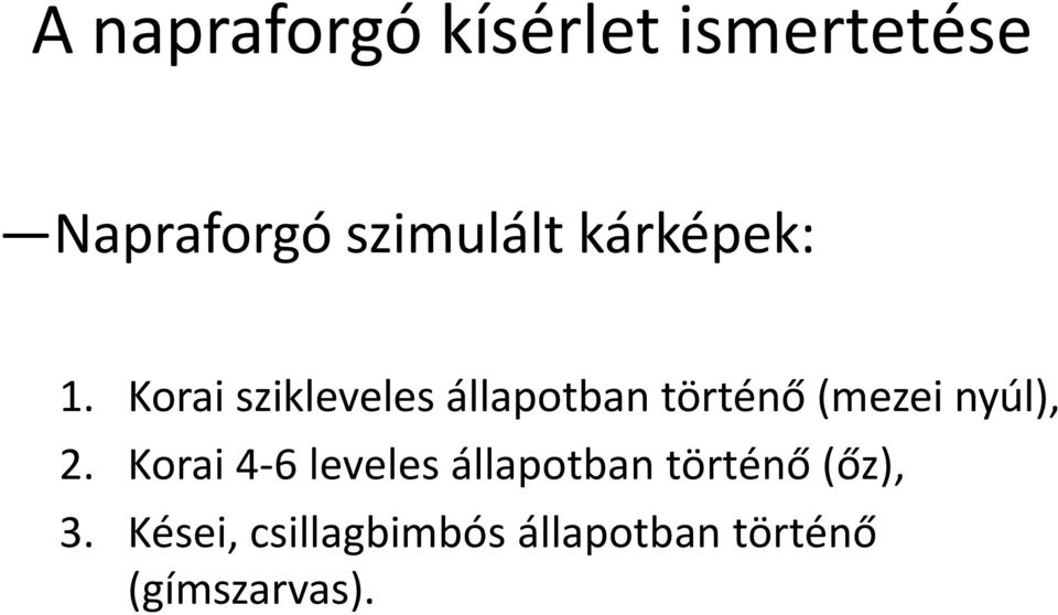 Korai szikleveles állapotban történő (mezei nyúl), 2.