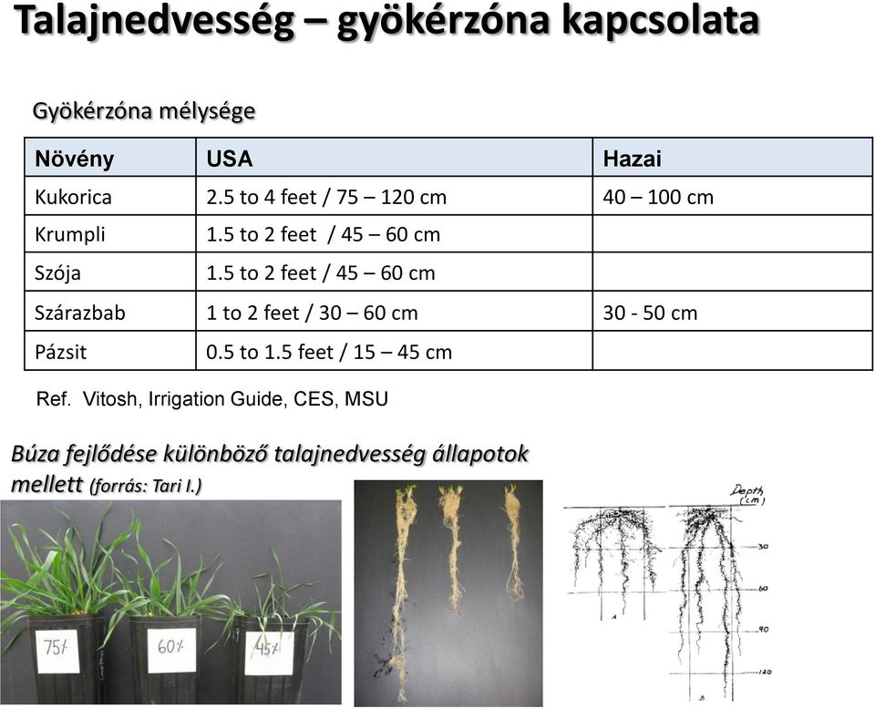 5 to 2 feet / 45 60 cm Szárazbab 1 to 2 feet / 30 60 cm 30-50 cm Pázsit 0.5 to 1.