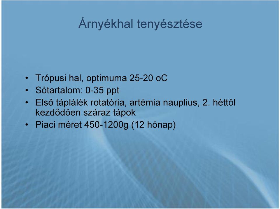 rotatória, artémia nauplius, 2.