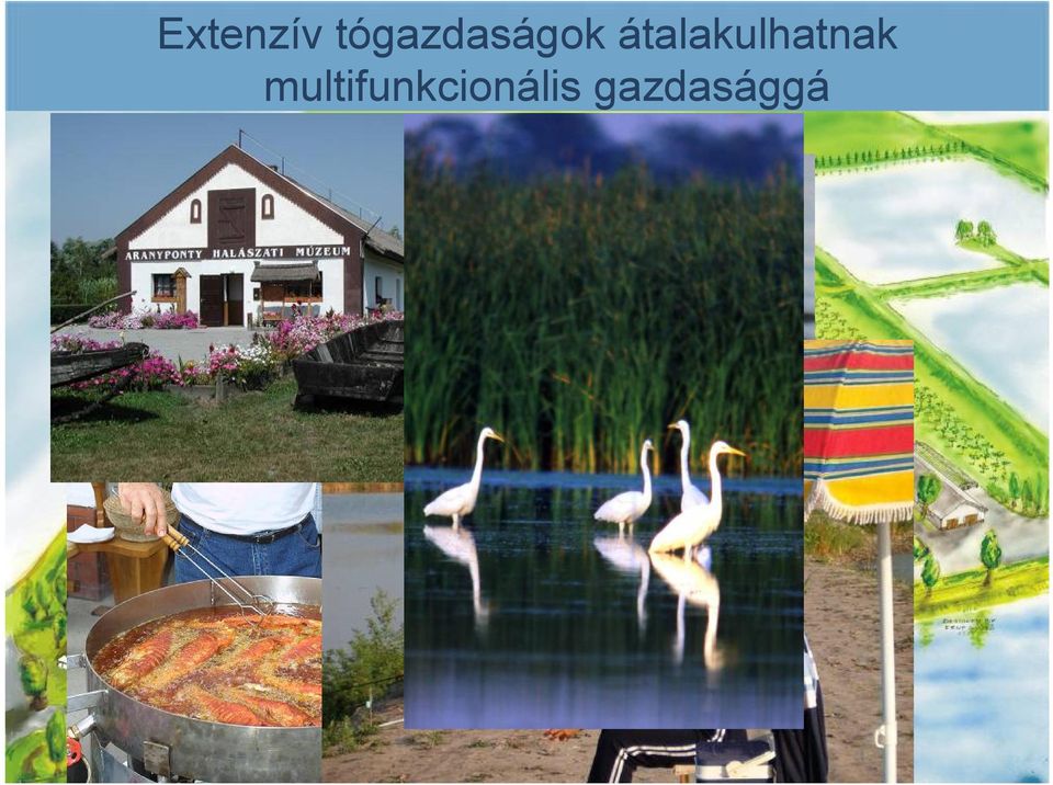 átalakulhatnak