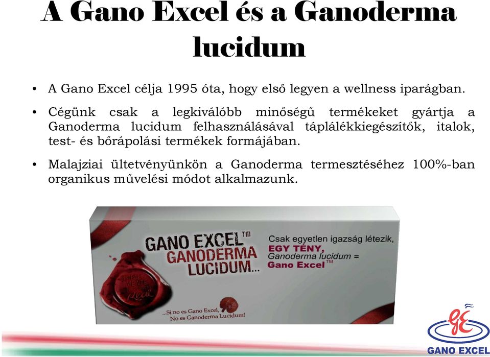 Cégünk csak a legkiválóbb minőségű termékeket gyártja a Ganoderma lucidum felhasználásával