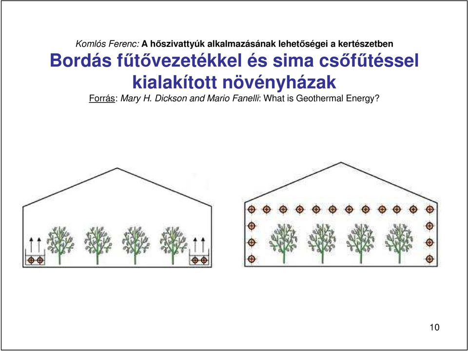 növényházak Forrás: Mary H.