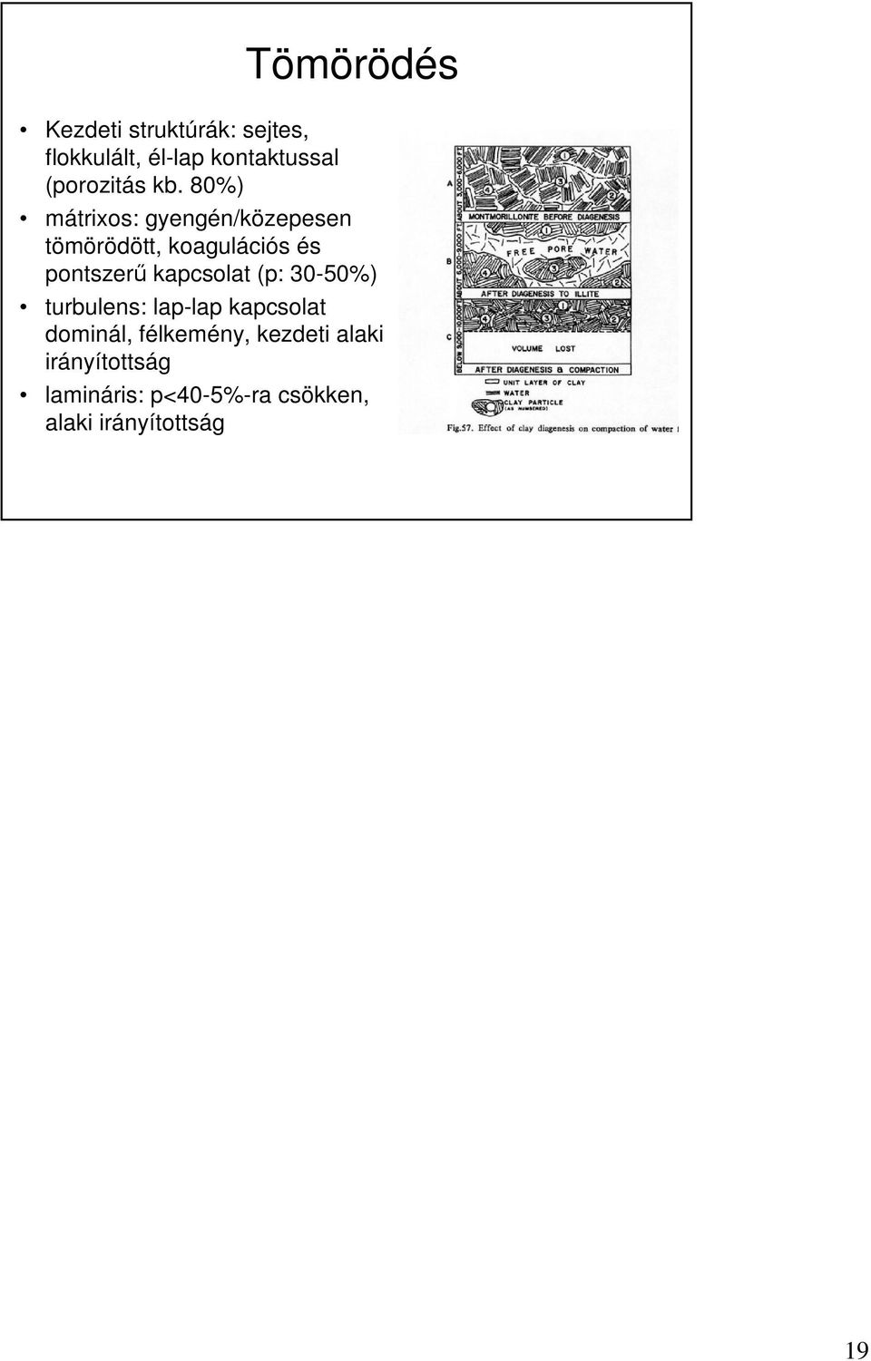 80%) mátrixos: gyengén/közepesen tömörödött, koagulációs és pontszerő