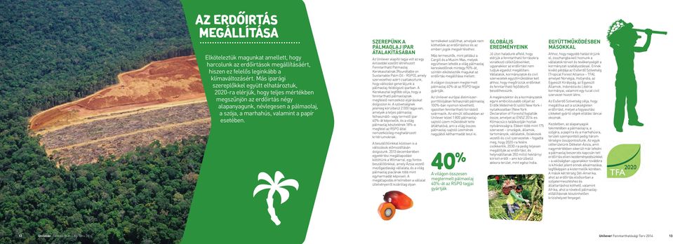 SZEREPÜNK A PÁLMAOLAJ IPAR ÁTALAKÍTÁSÁBAN Az Unilever alapító tagja volt az egy évtizeddel ezelőtt létrehozott Fenntartható Palmaolaj Kerekasztalnak [Roundtable on Sustainable Palm Oil - RSPO], amely