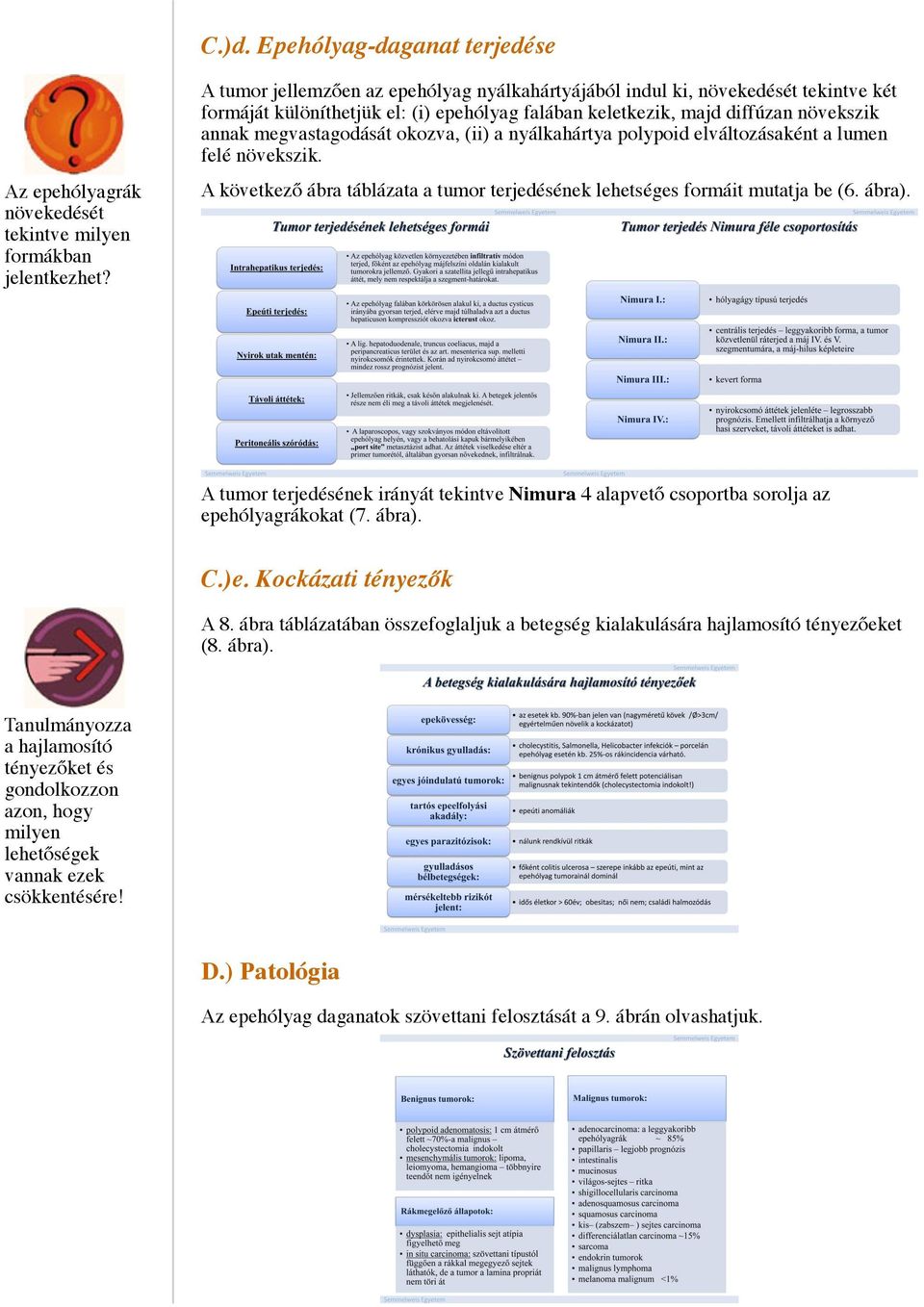 A következő ábra táblázata a tumor terjedésének lehetséges formáit mutatja be (6. ábra). A tumor terjedésének irányát tekintve Nimura 4 alapvető csoportba sorolja az epehólyagrákokat (7. ábra). C.)e.