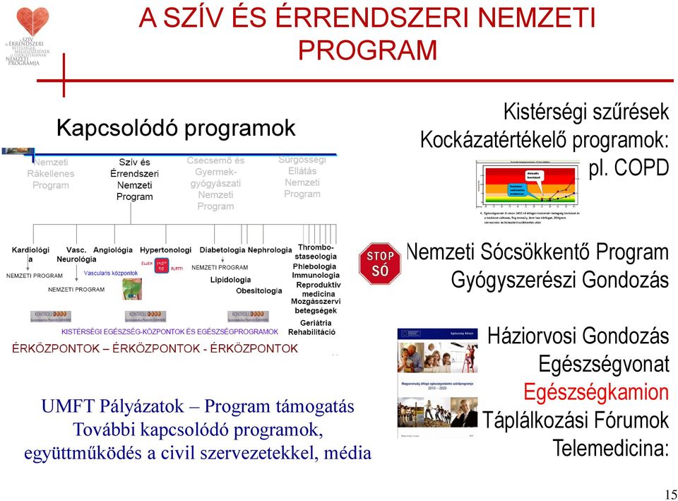 COPD Nemzeti Sócsökkentő Program Gyógyszerészi Gondozás UMFT Pályázatok Program támogatás