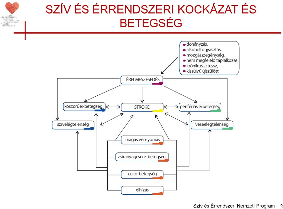 BETEGSÉG Szív és