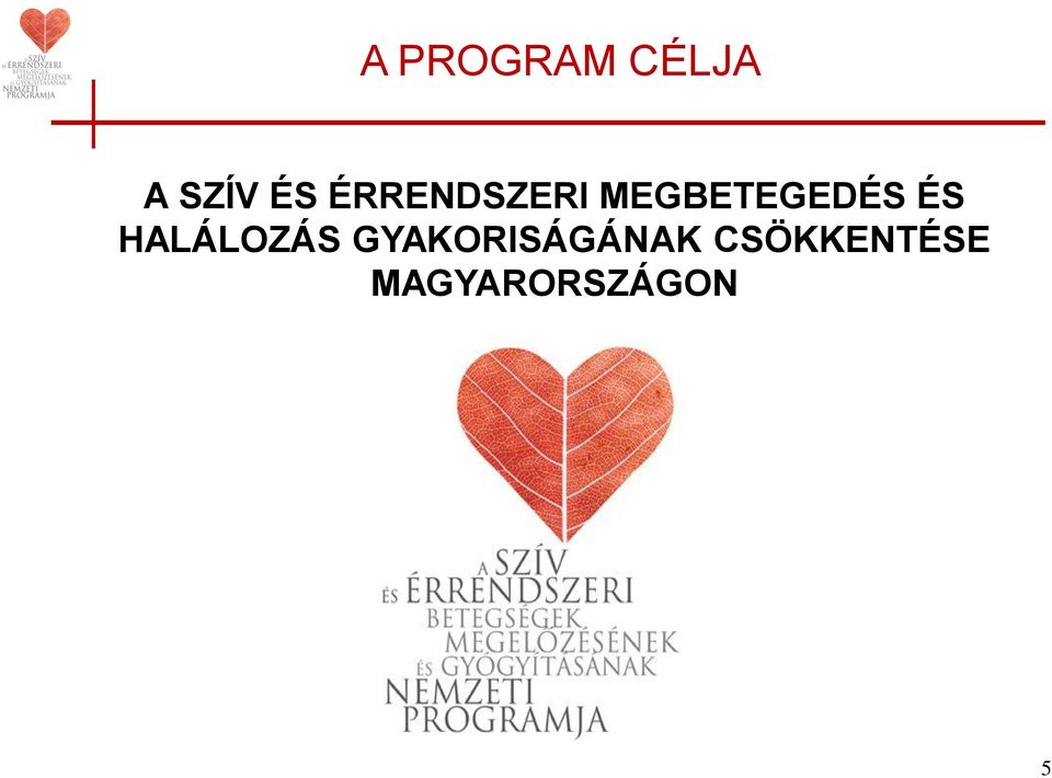 gyermekek szív-egészségügyi programjai)