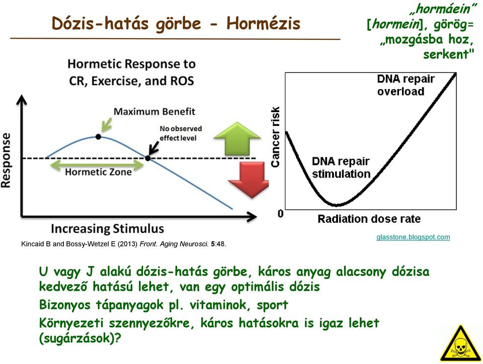 com U vagy J alakú dózis-hatás görbe, káros anyag alacsony dózisa kedvező hatású lehet, van egy