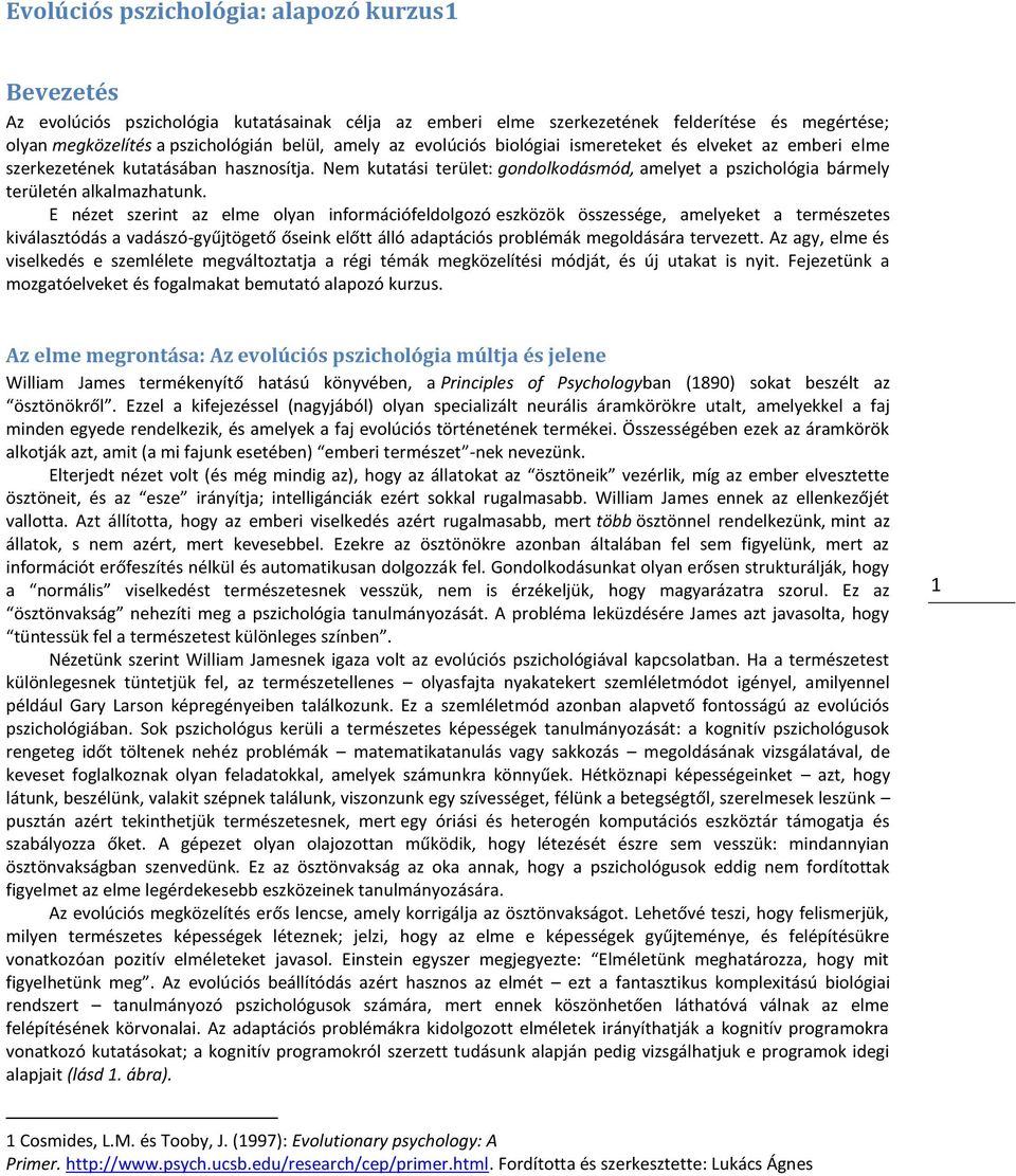 E nézet szerint az elme olyan információfeldolgozó eszközök összessége, amelyeket a természetes kiválasztódás a vadászó-gyűjtögető őseink előtt álló adaptációs problémák megoldására tervezett.