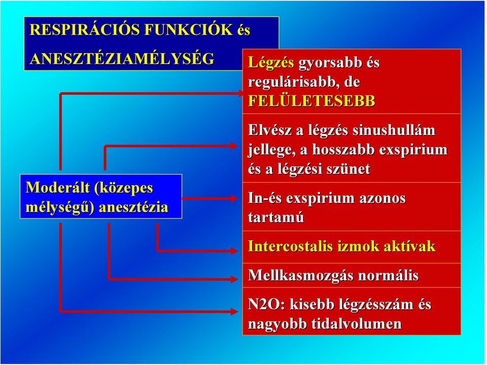 jellege, a hosszabb exspirium és a légzési szünet In-és exspirium azonos tartamú