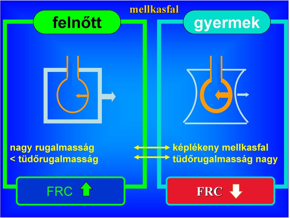 tüdőrugalmasság képlékeny
