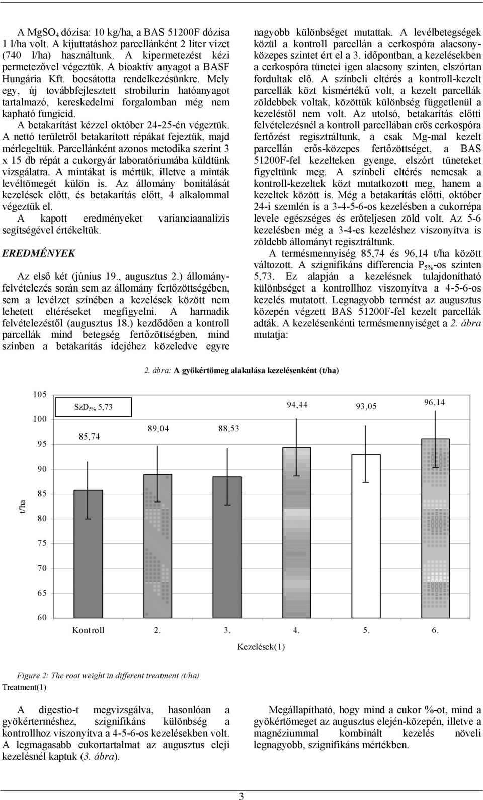 A betakarítást kézzel október 24-25-én végeztük. A nettó területről betakarított répákat fejeztük, majd mérlegeltük.