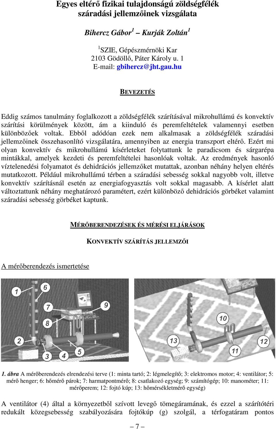 voltak. Ebből adódóan ezek nem alkalmasak a zöldségfélék száradási jellemzőinek összehasonlító vizsgálatára, amennyiben az energia transzport eltérő.