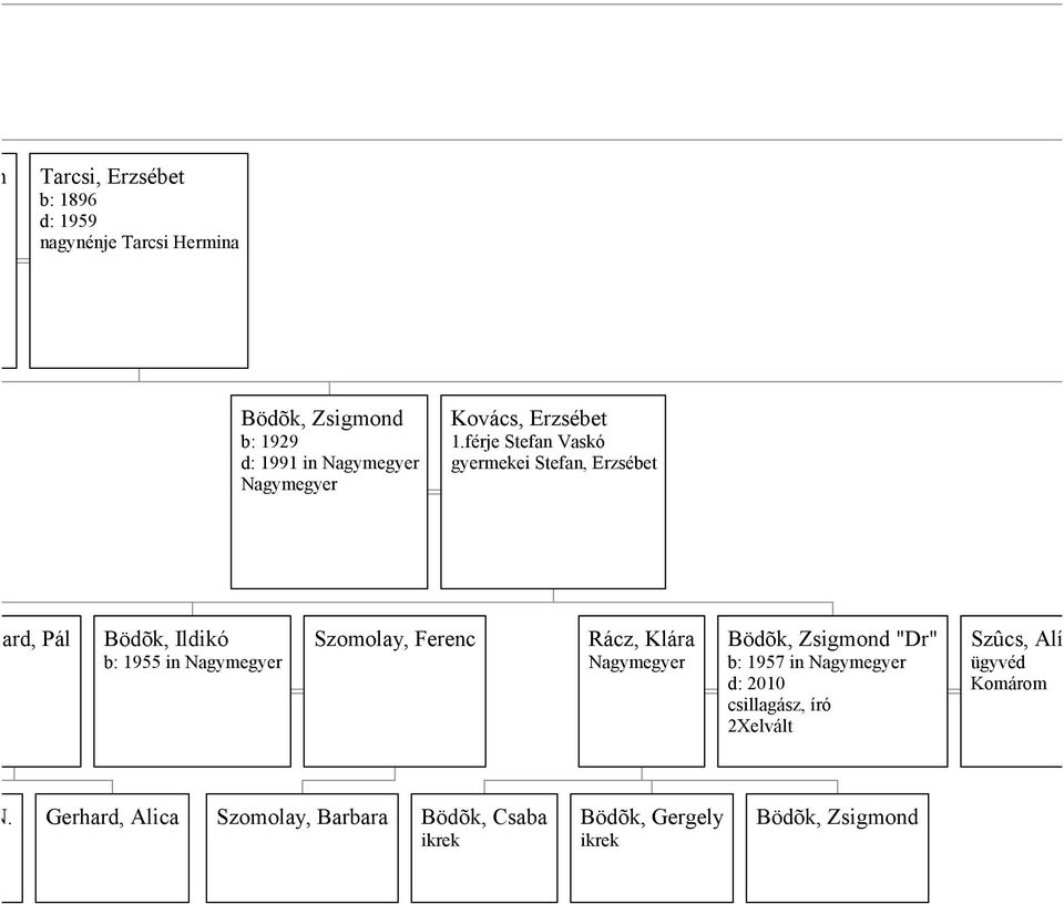 férje Stefan Vaskó gyermekei Stefan, Erzsébet erhard, Pál Bödõk, Ildikó b: 1955 in Nagymegyer Szomolay, Ferenc Rácz,