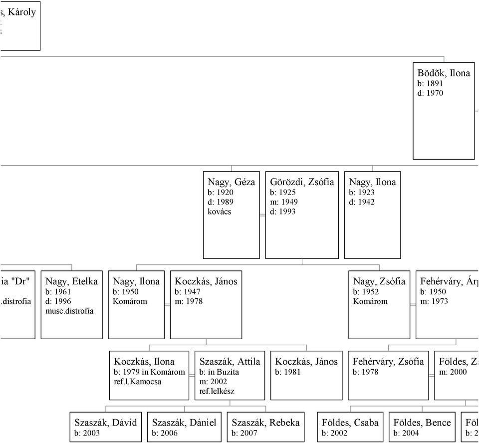 distrofia Nagy, Ilona b: 1950 Komárom Koczkás, János b: 1947 m: 1978 Nagy, Zsófia b: 1952 Komárom Fehérváry, Árpád b: 1950 m: 1973 Koczkás, Ilona b: 1979 in