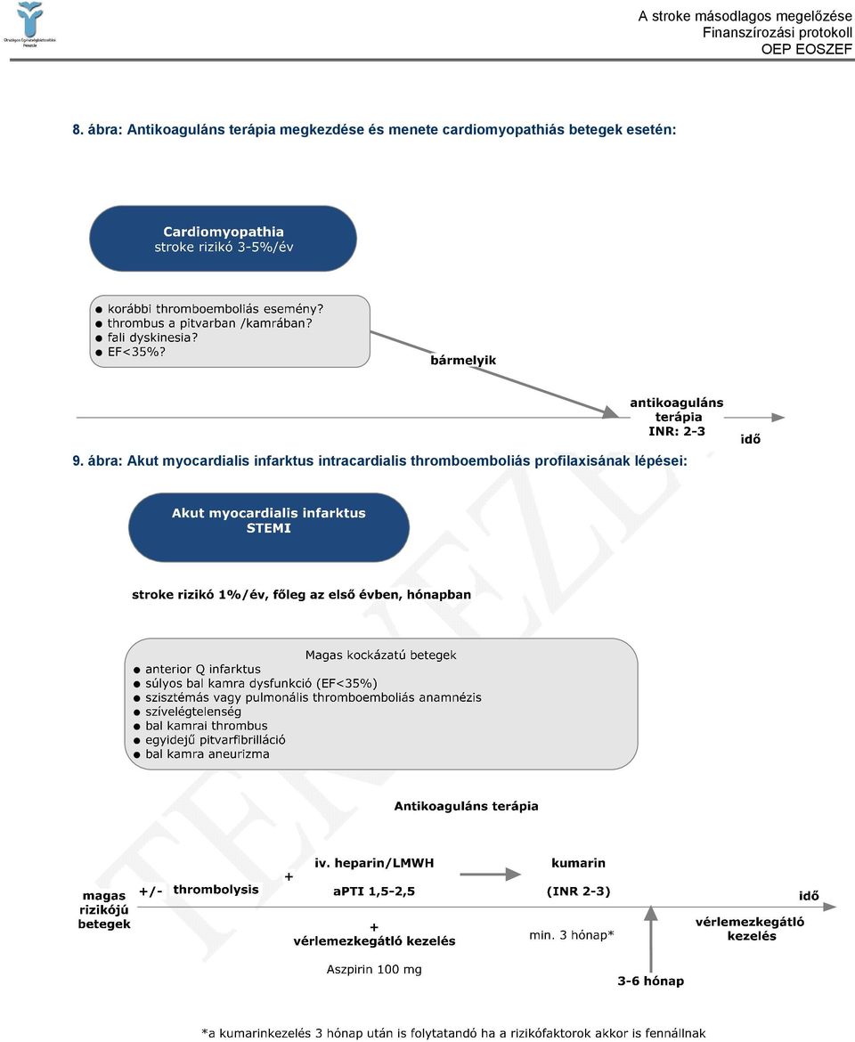 9. ábra: Akut myocardialis infarktus