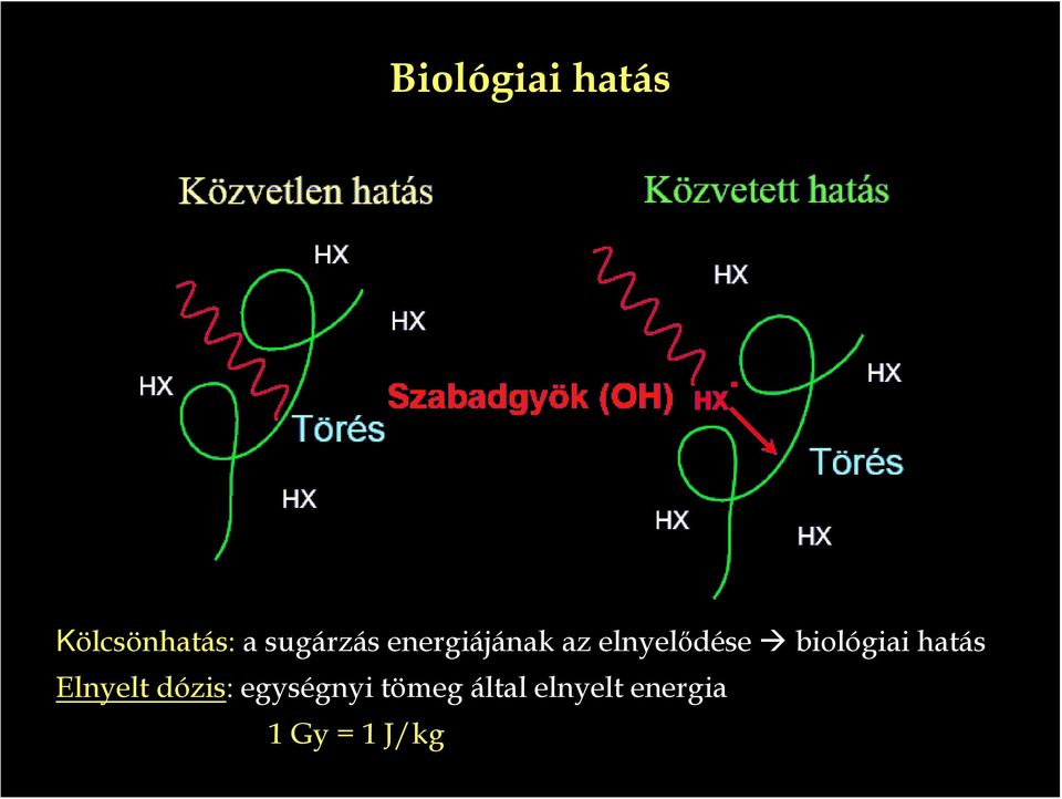 biológiai hatás Elnyelt dózis: