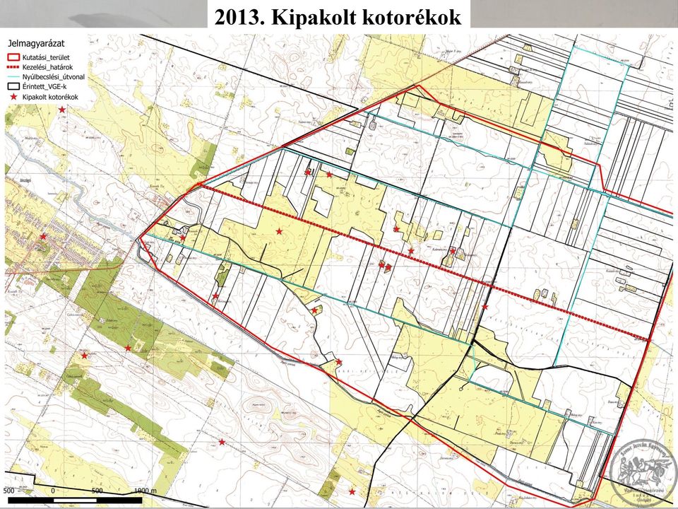 kotorékok