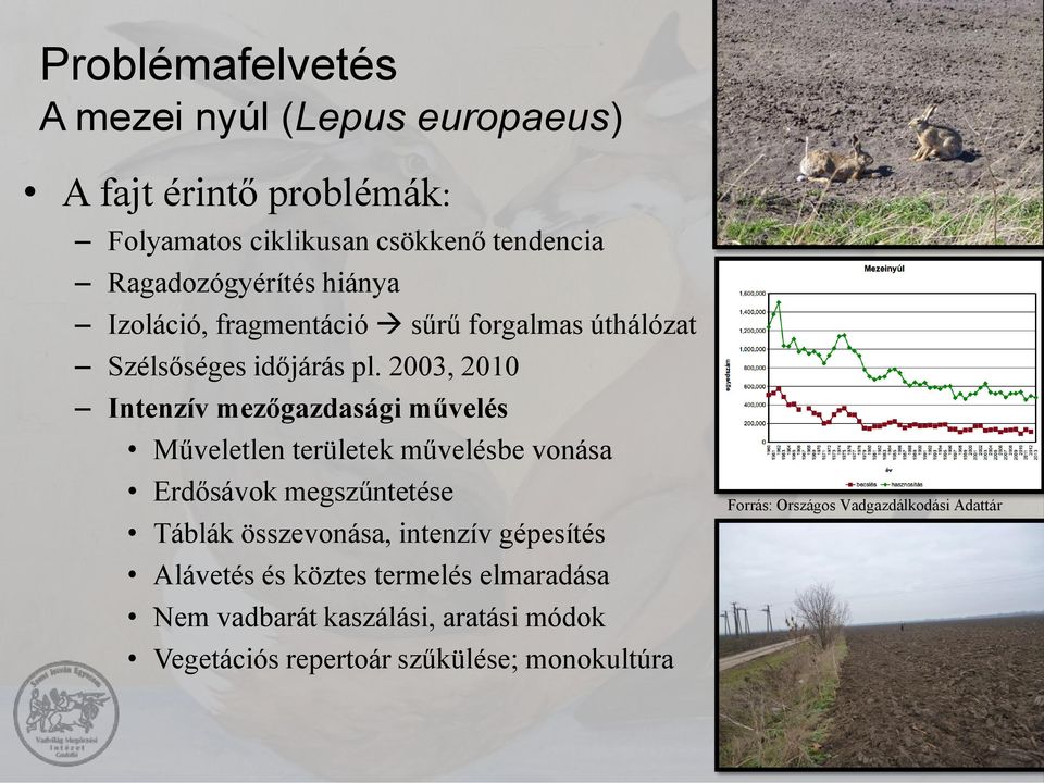 2003, 2010 Intenzív mezőgazdasági művelés Műveletlen területek művelésbe vonása Erdősávok megszűntetése Táblák összevonása,