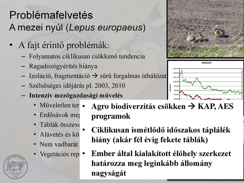 2003, 2010 Intenzív mezőgazdasági művelés Műveletlen területek művelésbe vonása Erdősávok megszűntetése Agro biodiverzitás csökken KAP, AES programok Táblák összevonása, intenzív