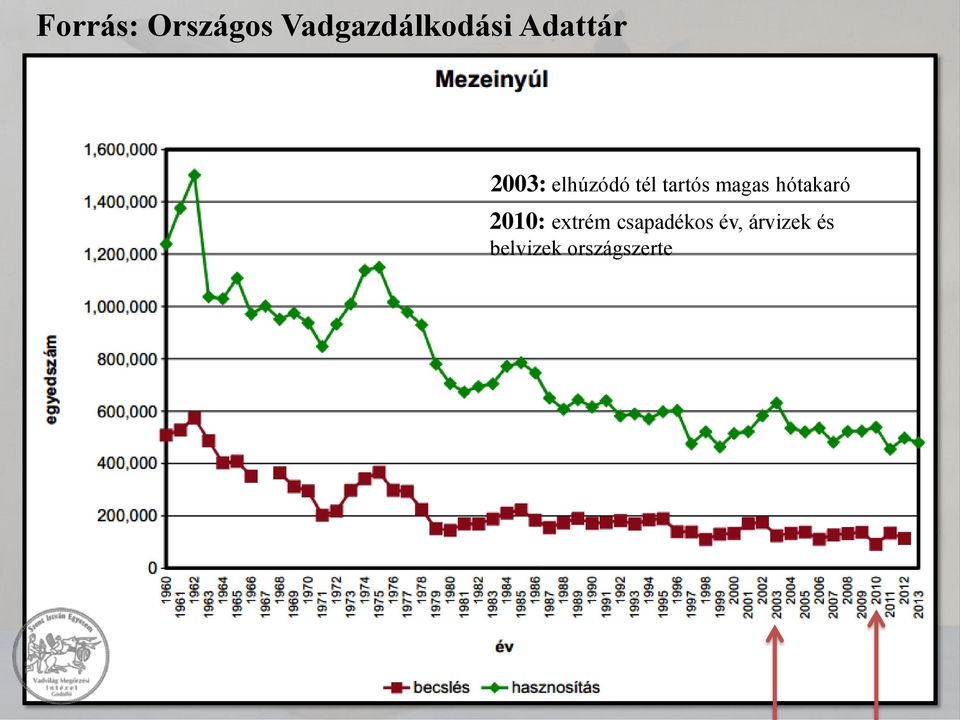 magas hótakaró 2010: extrém