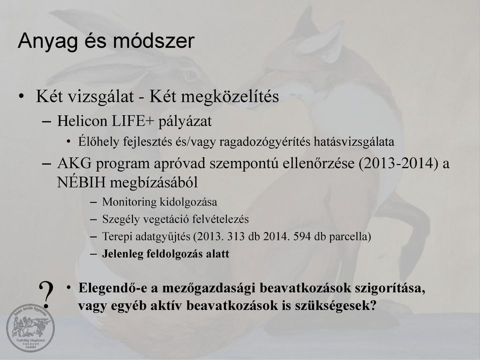 Monitoring kidolgozása Szegély vegetáció felvételezés Terepi adatgyűjtés (2013. 313 db 2014.