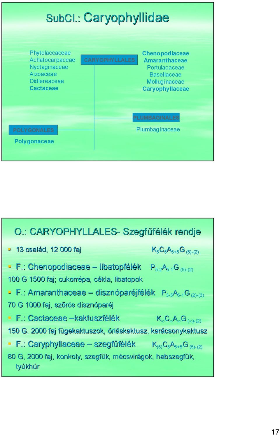 Caryophyllaceae PLUMBAGINALES POLYGONALES Plumbaginaceae Polygonaceae O.: CARYOPHYLLALES- Szegfűfélék rendje 13 család, 12 000 faj K 5 C 5 A 5+5 5+5 G (5)-(2) (2) F.