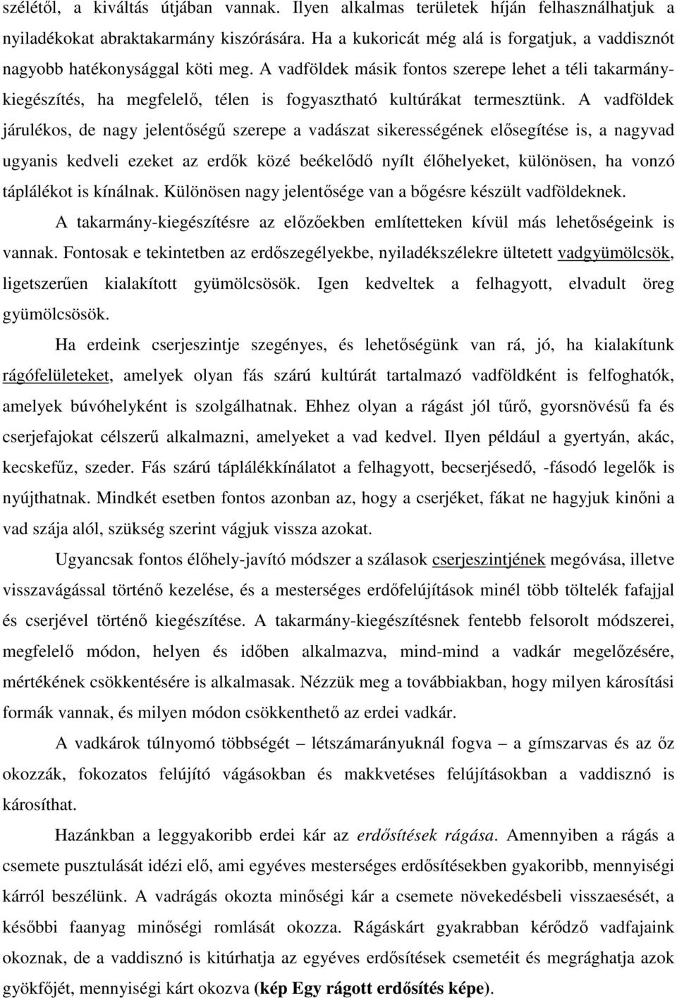 A vadföldek másik fontos szerepe lehet a téli takarmánykiegészítés, ha megfelel, télen is fogyasztható kultúrákat termesztünk.