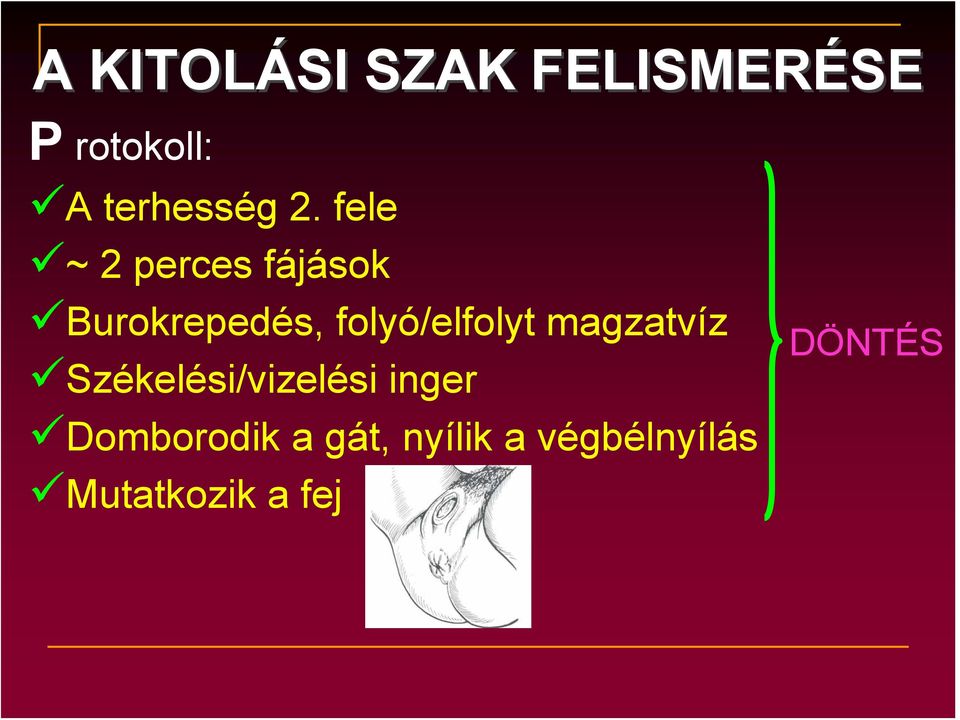 folyó/elfolyt magzatvíz Székelési/vizelési inger