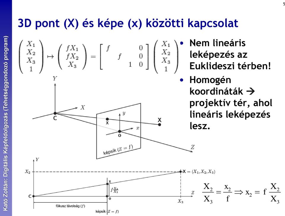 Homogén koordináták projektív tér, ahol