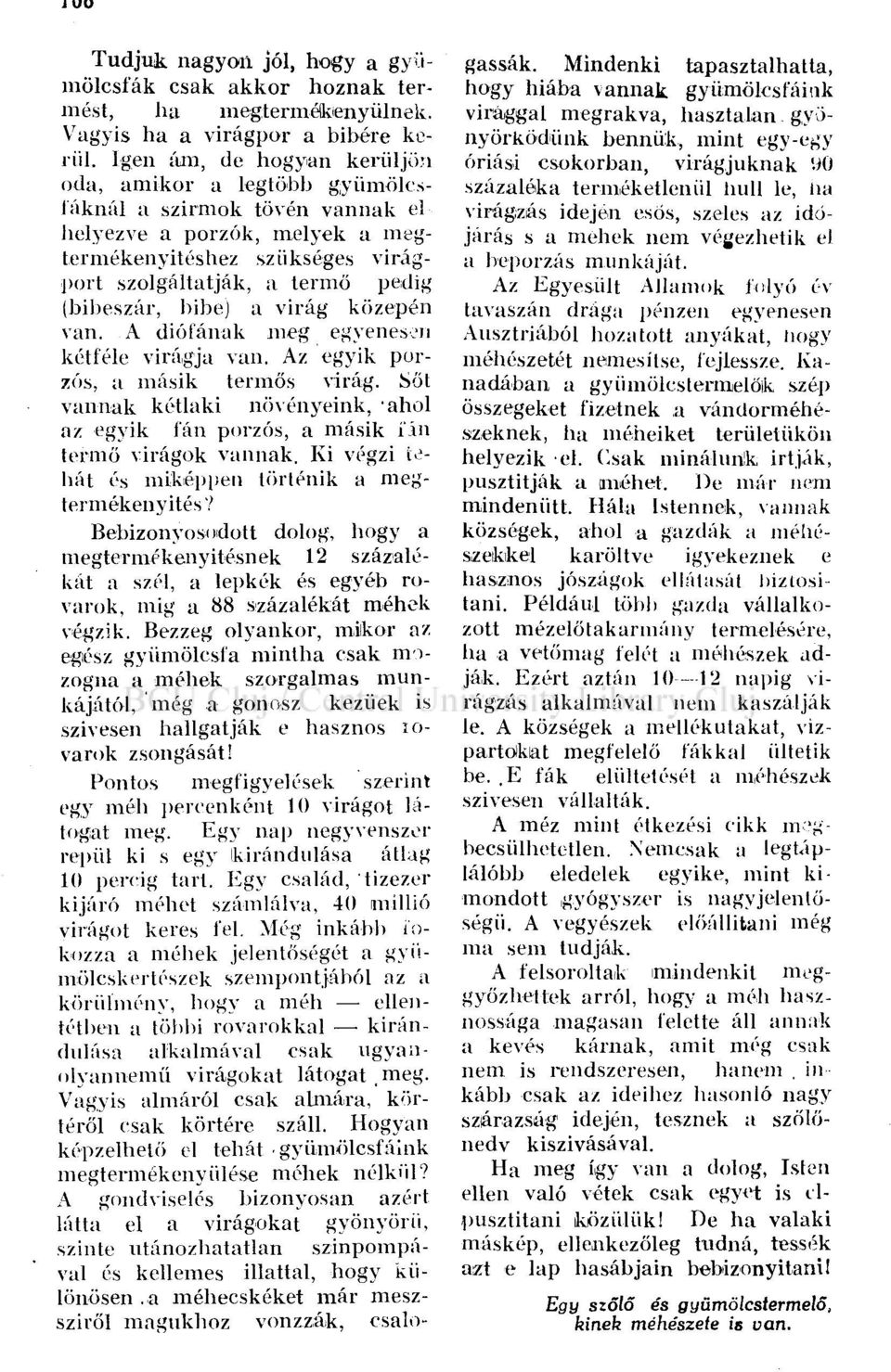 bibe) a virág közepén van. A diófának meg egyenesen kétféle virágja van. Az egyik porzós, a másik termős virág.