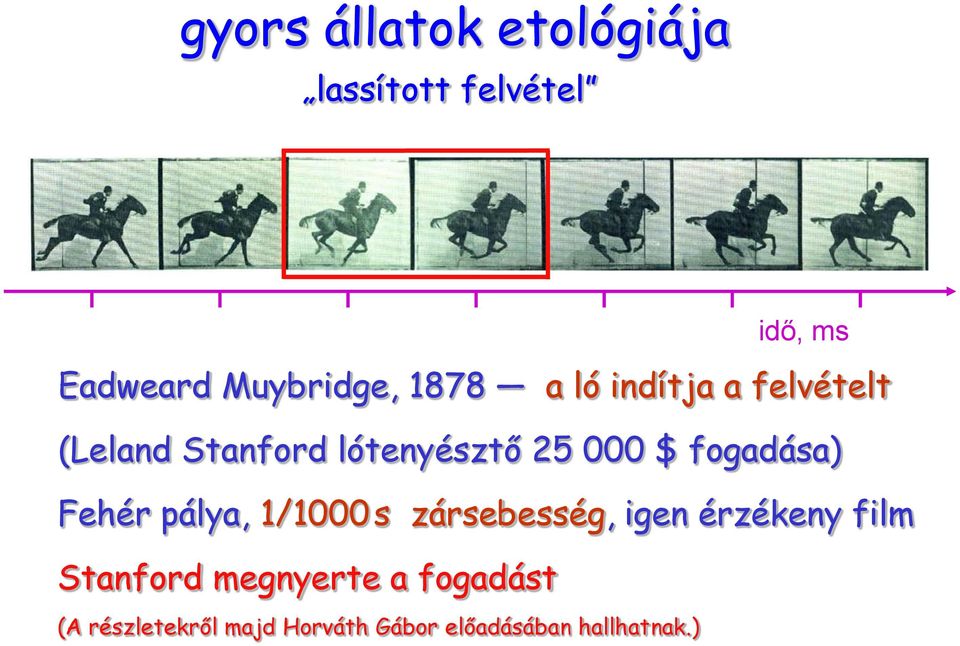 000 $ fogadása) Fehér pálya, 1/1000 s zársebesség, igen érzékeny film