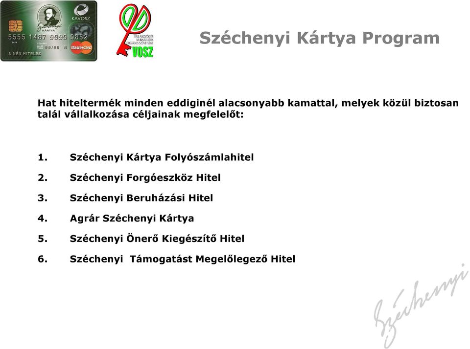 Széchenyi Kártya Folyószámlahitel 2. Széchenyi Forgóeszköz Hitel 3.