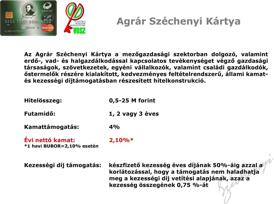 díjtámogatásban részesített hitelkonstrukció.