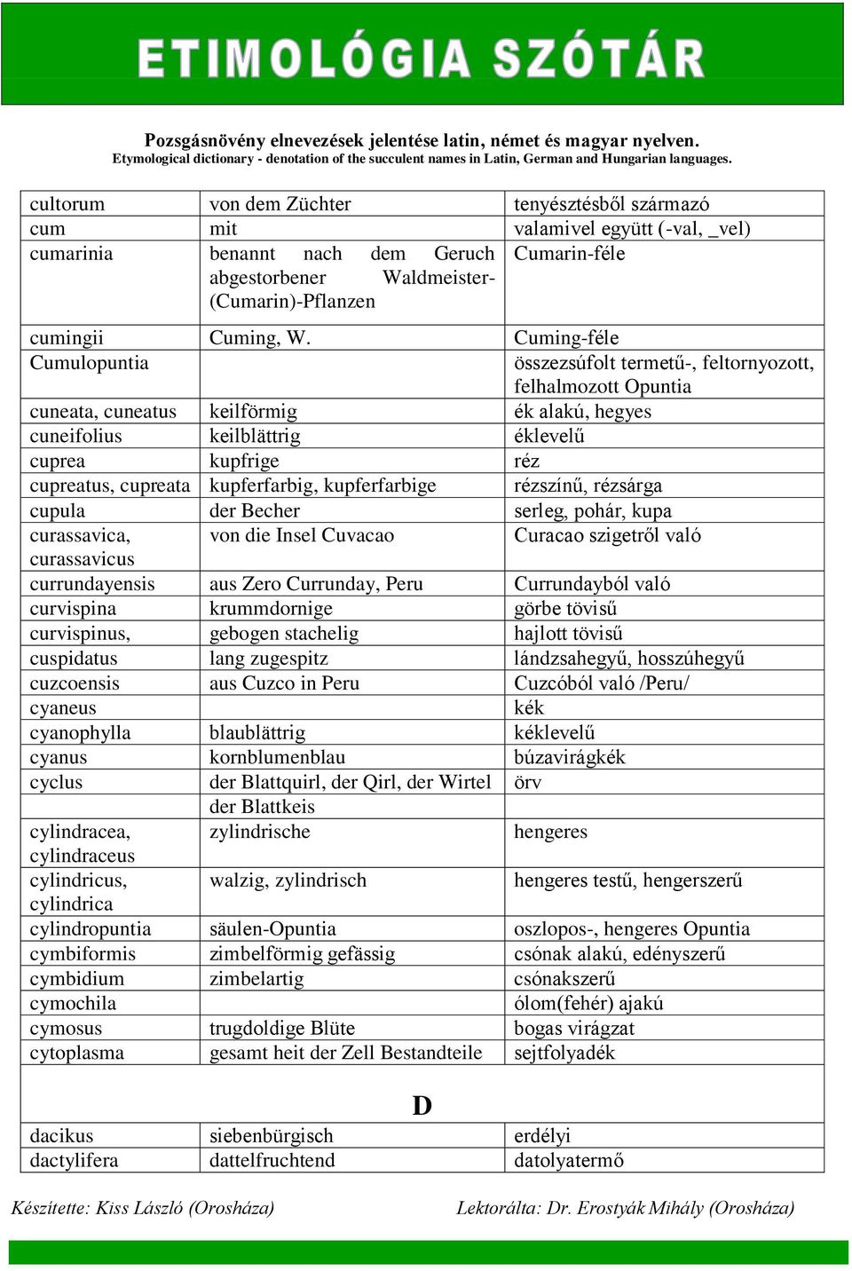 Cuming-féle Cumulopuntia cuneata, cuneatus keilförmig ék alakú, hegyes cuneifolius keilblättrig éklevelű cuprea kupfrige réz összezsúfolt termetű-, feltornyozott, felhalmozott Opuntia cupreatus,