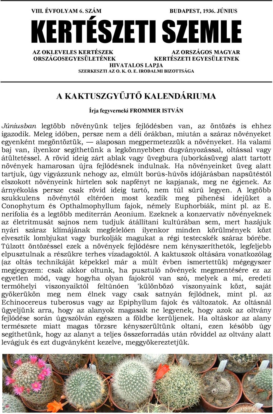 igazodik. Meleg időben, persze nem a déli órákban, miután a száraz növényeket egyenként megöntöztük, alaposan megpermetezzük a növényeket.