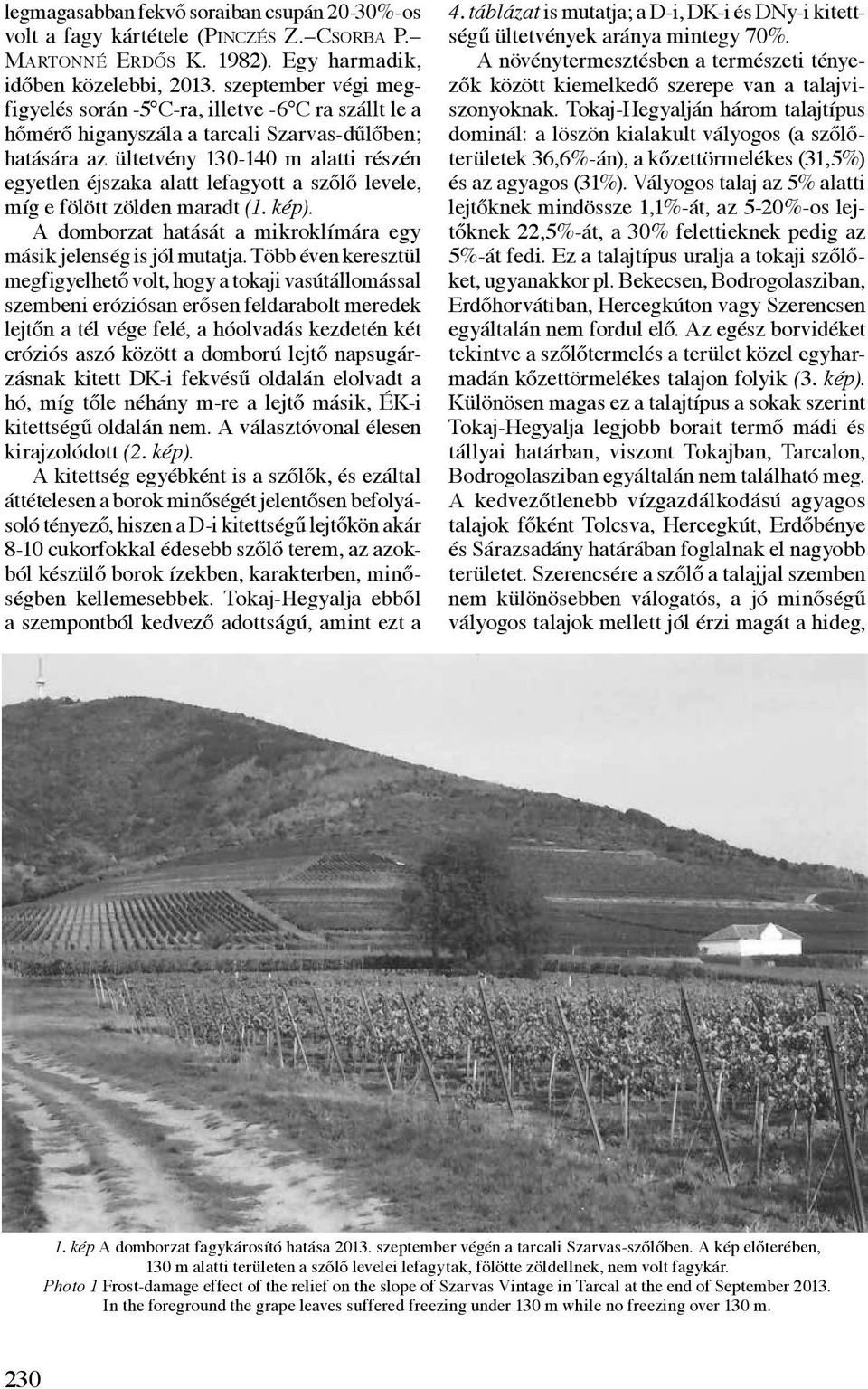 szőlő levele, míg e fölött zölden maradt (1. kép). A domborzat hatását a mikroklímára egy másik jelenség is jól mutatja.